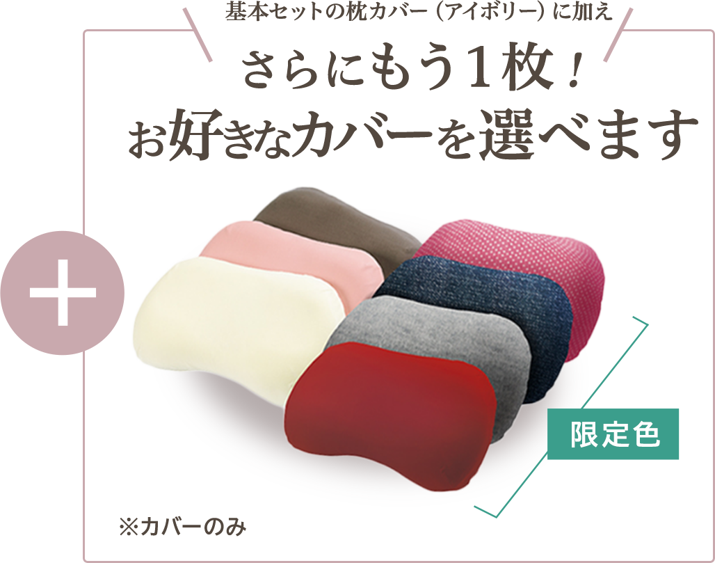 基本セットの枕カバー(アイボリー)に加えさらにもう1枚!お好きなカバーを選べます