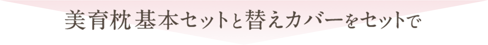 美育枕基本セットと替えカバーをセットで